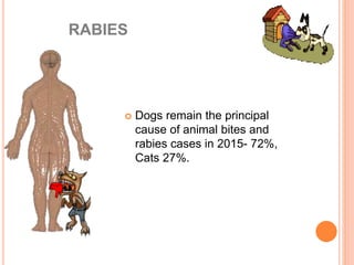 Basic rabies-for-dep ed | PPTX