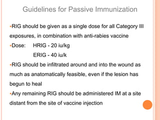 Erig Shot Rabies Basic rabies-for-dep ed | PPTX