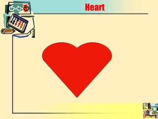 Heart 