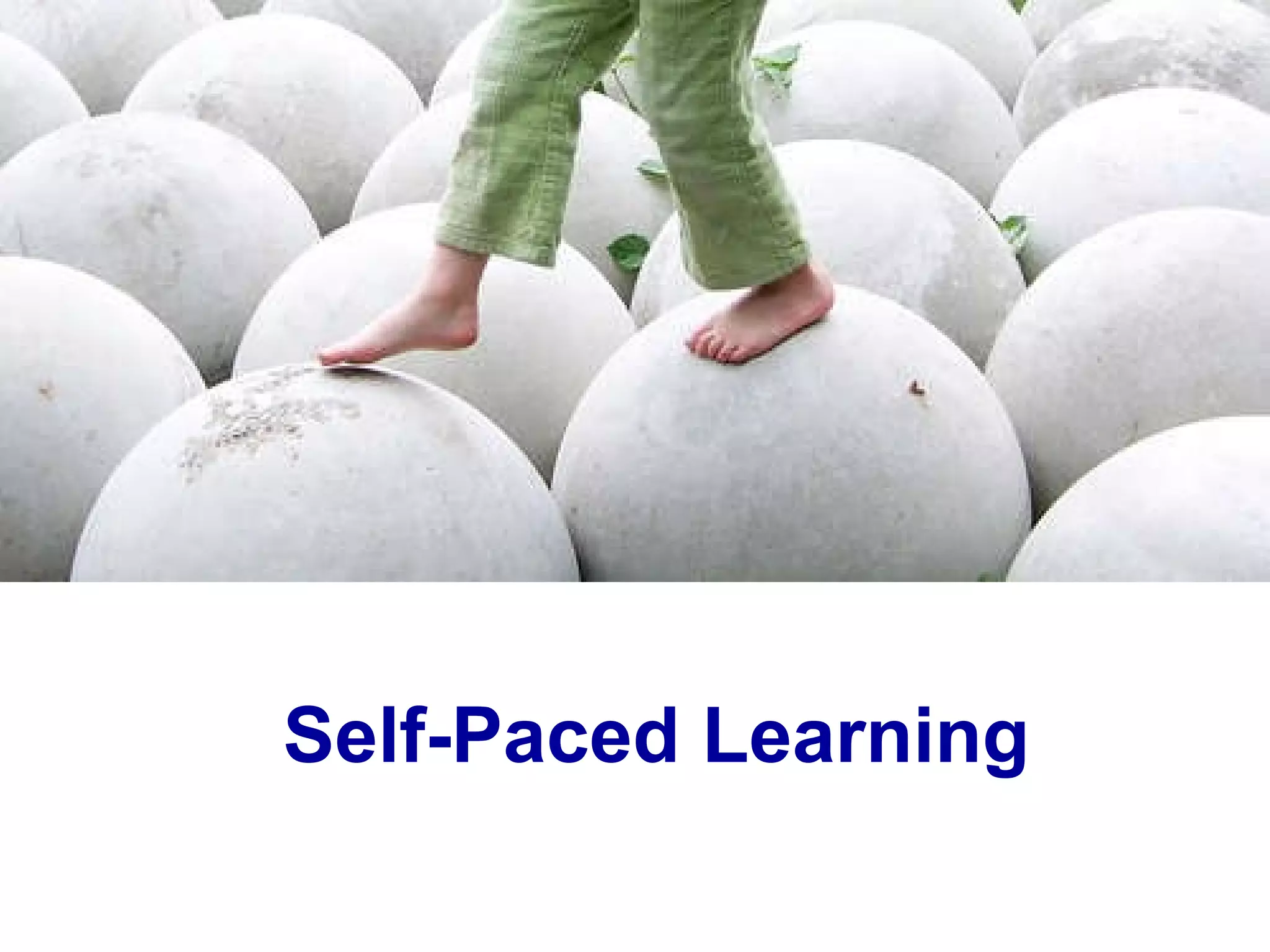 Self-Paced Learning 