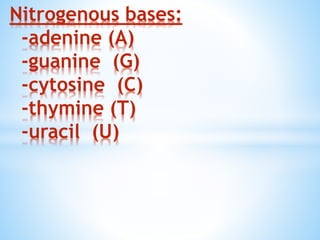 Nitrogenous bases:
-adenine (A)
-guanine (G)
-cytosine (C)
-thymine (T)
-uracil (U)
 