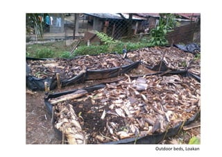 Outdoor	beds,	Loakan	
 