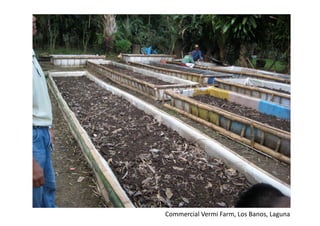 Commercial	Vermi	Farm,	Los	Banos,	Laguna	
 