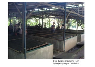 Buro-Buro	Springs	Vermi	Farm	
Talisay	City,	Negros	Occidental	
 