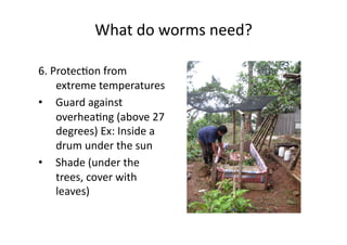 What	do	worms	need?	
6.	ProtecNon	from	
extreme	temperatures	
•  Guard	against	
overheaNng	(above	27	
degrees)	Ex:	Inside	a	
drum	under	the	sun	
•  Shade	(under	the	
trees,	cover	with	
leaves)	
 
