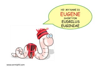 HI! MY NAME IS		
EUGENE
SHORT FOR
EUDRILUS
EUGINIAE
www.vermiphil.com	
 