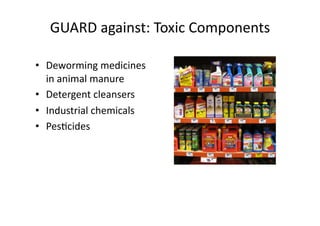 GUARD	against:	Toxic	Components	
•  Deworming	medicines	
in	animal	manure	
•  Detergent	cleansers	
•  Industrial	chemicals	
•  PesNcides	
 