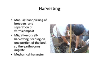HarvesNng	
•  Manual:	handpicking	of	
breeders,	and	
separaNon	of	
vermicompost	
•  MigraNon	or	self-
harvesNng:	feeding	on	
one	porNon	of	the	bed,	
so	the	earthworms	
migrate	
•  Mechanical	harvester	
 