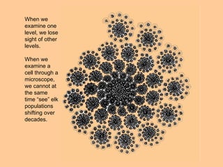 When we examine one level, we lose sight of other levels. When we examine a cell through a microscope, we cannot at the same time “see” elk populations shifting over decades. 