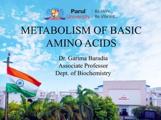 METABOLISM OF BASIC
AMINO ACIDS
Dr. Garima Baradia
Associate Professor
Dept. of Biochemistry
1
 