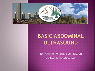 Dr. Kristina Wilson, DVM, DACVR
kwilson@uvsonline.com
 