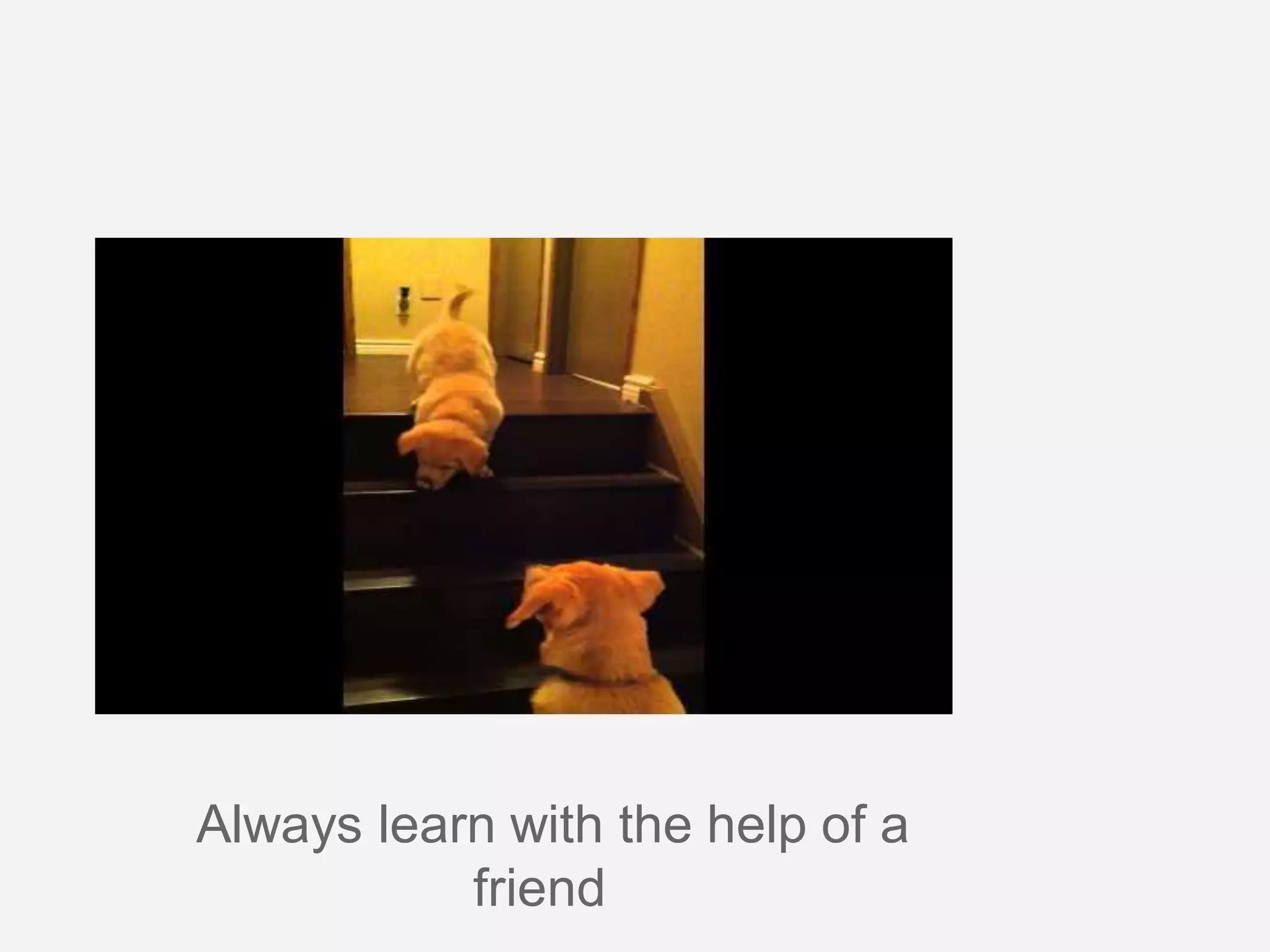 Always learn with the help of a
friend
 