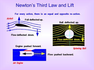 Newton’s Third Law and Lift 