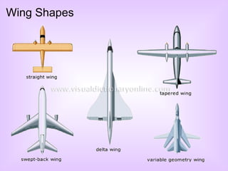 Wing Shapes 