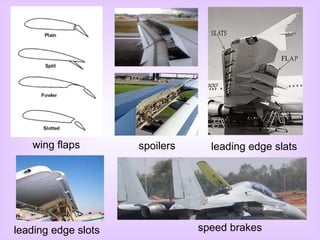 wing flaps spoilers leading edge slats leading edge slots speed brakes 