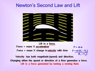 Newton’s Second Law and Lift 
