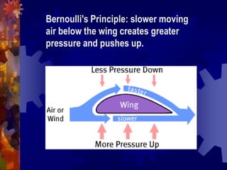 Bernoulli's Principle: slower moving air below the wing creates greater pressure and pushes up.
