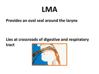 LMA
Provides an oval seal around the larynx
Lies at crossroads of digestive and respiratory
tract
 