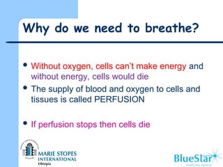 Why do we need to breathe?
 Without oxygen, cells can’t make energy and
without energy, cells would die
 The supply of blood and oxygen to cells and
tissues is called PERFUSION
 If perfusion stops then cells die
 