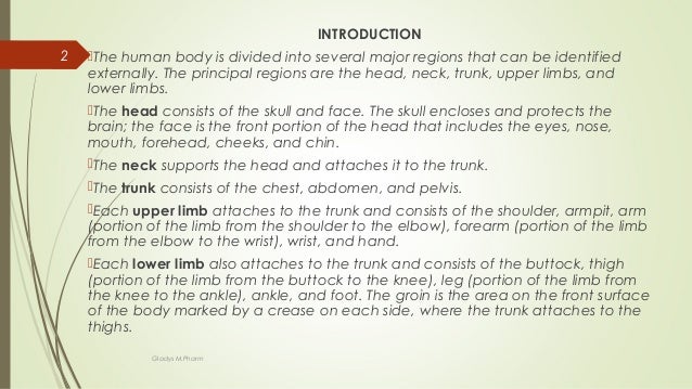 Basic anatomical terminology