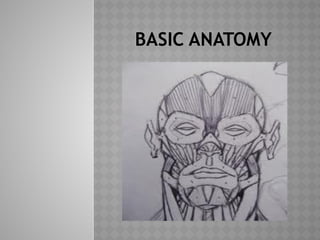 Basic anatomy, this presentation is for beginerrs.pptx