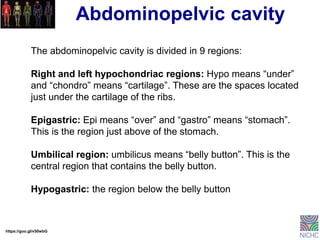 Basic anatomy and physiology.pdf