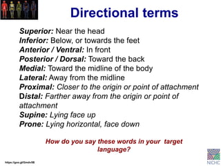 Directional Language Body Basic anatomy and physiology.pdf