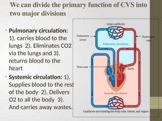 BASIC ANATOMY AND PHYSIOLOGY OF HEART.pptx
