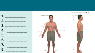 Comprehensive Guide to Basic Human Anatomy and Medical Terminology | PDF