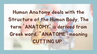Comprehensive Guide to Basic Human Anatomy and Medical Terminology | PDF