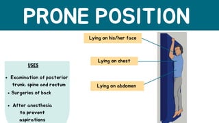 Comprehensive Guide to Basic Human Anatomy and Medical Terminology | PDF