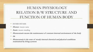 BASIC ANATOMY .pptx