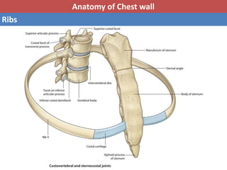Central Rib Block Basic anatomy & Radiology for breast cancer case | PPTX