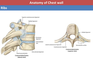 Basic anatomy & Radiology for breast cancer case | PPTX