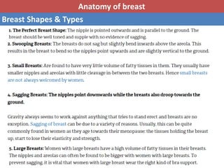 Basic anatomy & Radiology for breast cancer case