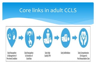 Core links in adult CCLS
 