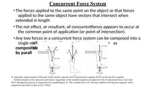 BASIC AND BONE BIOMECHANICS ( for Physiotherapy students).pptx