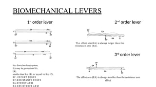BASIC AND BONE BIOMECHANICS ( for Physiotherapy students).pptx