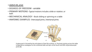 Joint Motion Example BASIC AND BONE BIOMECHANICS ( for Physiotherapy students).pptx