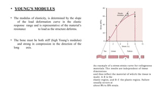 BASIC AND BONE BIOMECHANICS ( for Physiotherapy students).pptx