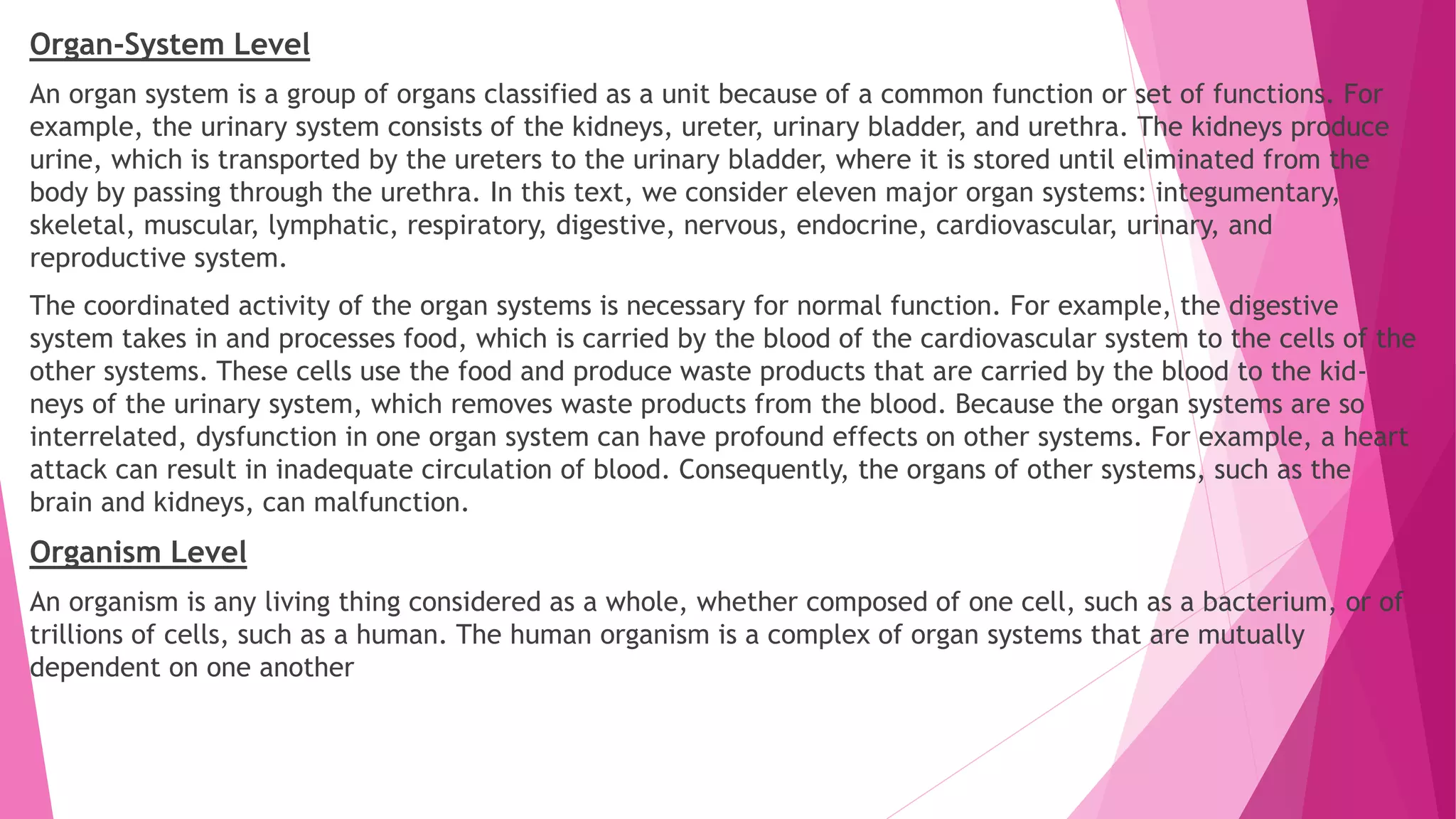 Organ-System Level
An organ system is a group of organs classified as a unit because of a common function or set of functions. For
example, the urinary system consists of the kidneys, ureter, urinary bladder, and urethra. The kidneys produce
urine, which is transported by the ureters to the urinary bladder, where it is stored until eliminated from the
body by passing through the urethra. In this text, we consider eleven major organ systems: integumentary,
skeletal, muscular, lymphatic, respiratory, digestive, nervous, endocrine, cardiovascular, urinary, and
reproductive system.
The coordinated activity of the organ systems is necessary for normal function. For example, the digestive
system takes in and processes food, which is carried by the blood of the cardiovascular system to the cells of the
other systems. These cells use the food and produce waste products that are carried by the blood to the kid-
neys of the urinary system, which removes waste products from the blood. Because the organ systems are so
interrelated, dysfunction in one organ system can have profound effects on other systems. For example, a heart
attack can result in inadequate circulation of blood. Consequently, the organs of other systems, such as the
brain and kidneys, can malfunction.
Organism Level
An organism is any living thing considered as a whole, whether composed of one cell, such as a bacterium, or of
trillions of cells, such as a human. The human organism is a complex of organ systems that are mutually
dependent on one another
 