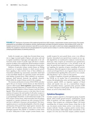 Comprehensive Guide to Basic & Clinical Pharmacology: Drug Actions and ...