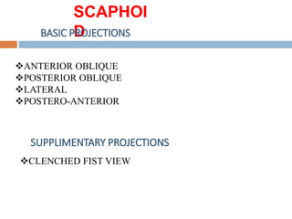 Basic and supplementary projections of thumb and scaphoid | PPTX