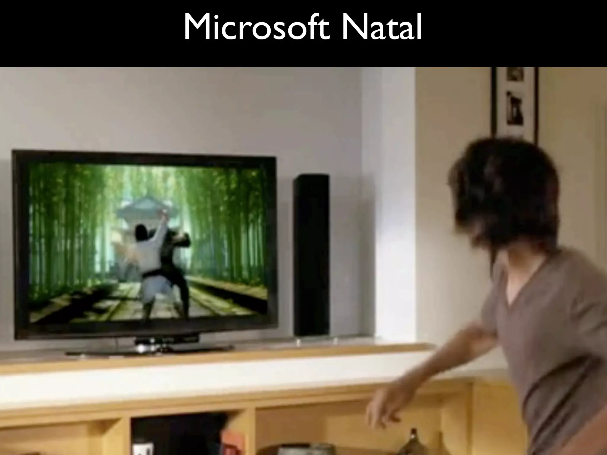 Microsoft Natal
 