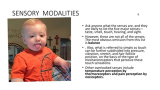 SENSORY MODALITIES 4
• Ask anyone what the senses are, and they
are likely to list the five major senses—
taste, smell, touch, hearing, and sight.
• However, these are not all of the senses.
The most obvious omission from this list
is balance
• . Also, what is referred to simply as touch
can be further subdivided into pressure,
vibration, stretch, and hair-follicle
position, on the basis of the type of
mechanoreceptors that perceive these
touch sensations.
• Other overlooked senses include
temperature perception by
thermoreceptors and pain perception by
nociceptors.
 