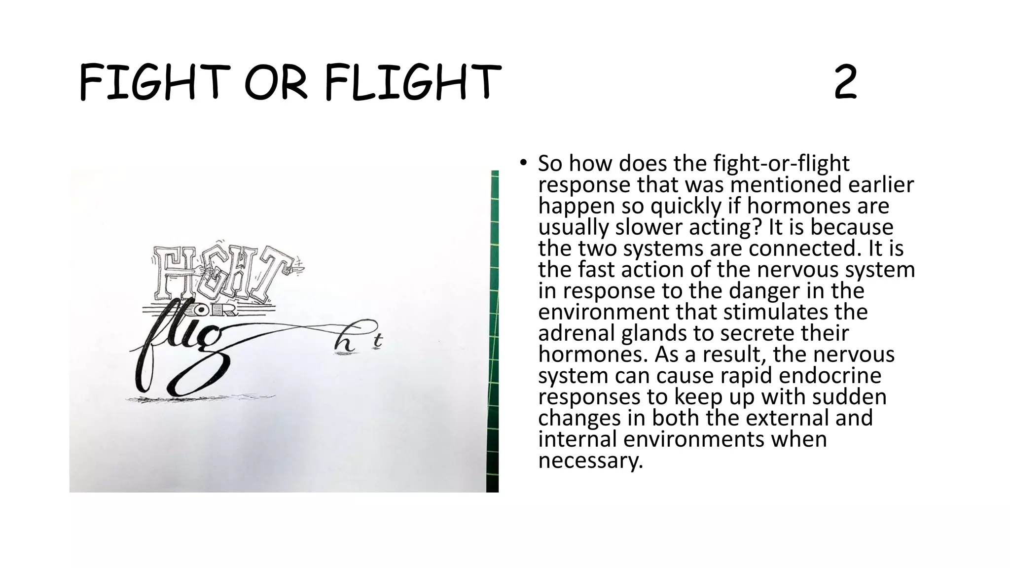 FIGHT OR FLIGHT 2
• So how does the fight-or-flight
response that was mentioned earlier
happen so quickly if hormones are
usually slower acting? It is because
the two systems are connected. It is
the fast action of the nervous system
in response to the danger in the
environment that stimulates the
adrenal glands to secrete their
hormones. As a result, the nervous
system can cause rapid endocrine
responses to keep up with sudden
changes in both the external and
internal environments when
necessary.
 