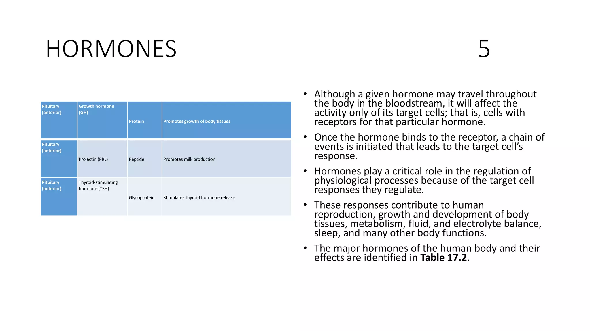 HORMONES 5
• Although a given hormone may travel throughout
the body in the bloodstream, it will affect the
activity only of its target cells; that is, cells with
receptors for that particular hormone.
• Once the hormone binds to the receptor, a chain of
events is initiated that leads to the target cell’s
response.
• Hormones play a critical role in the regulation of
physiological processes because of the target cell
responses they regulate.
• These responses contribute to human
reproduction, growth and development of body
tissues, metabolism, fluid, and electrolyte balance,
sleep, and many other body functions.
• The major hormones of the human body and their
effects are identified in Table 17.2.
Pituitary
(anterior)
Growth hormone
(GH)
Protein Promotes growth of body tissues
Pituitary
(anterior)
Prolactin (PRL) Peptide Promotes milk production
Pituitary
(anterior)
Thyroid-stimulating
hormone (TSH)
Glycoprotein Stimulates thyroid hormone release
 