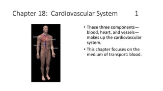 Chapter 18: Cardiovascular System 1
• These three components—
blood, heart, and vessels—
makes up the cardiovascular
system.
• This chapter focuses on the
medium of transport: blood.
 