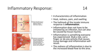 Inflammatory Response: 14
• 4 characteristics of inflammation
• Heat, redness, pain, and swelling
• The hallmark of the innate immune
response is inflammation.
• Inflammation does not have to be
initiated by an infection, but can also
be caused by tissue injuries.
• Inflammation is something everyone
has experienced. Stub a toe, cut a
finger, or do any activity that causes
tissue damage and inflammation will
result.
• The redness of inflammation is due to
the increased blood flow to the area.
 