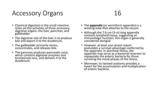 Accessory Organs 16
• Chemical digestion in the small intestine
relies on the activities of three accessory
digestive organs: the liver, pancreas, and
gallbladder.
• The digestive role of the liver is to produce
bile and export it to the duodenum.
• The gallbladder primarily stores,
concentrates, and releases bile.
• The pancreas produces pancreatic juice,
which contains digestive enzymes and
bicarbonate ions, and delivers it to the
duodenum.
• The appendix (or vermiform appendix) is a
winding tube that attaches to the cecum.
• Although the 7.6-cm (3-in) long appendix
contains lymphoid tissue, suggesting an
immunologic function, this organ is generally
considered vestigial.
• However, at least one recent report
postulates a survival advantage conferred by
the appendix: In diarrheal illness, the
appendix may serve as a bacterial reservoir to
repopulate the enteric bacteria for those
surviving the initial phases of the illness.
• Moreover, its twisted anatomy provides a
haven for the accumulation and multiplication
of enteric bacteria.
 